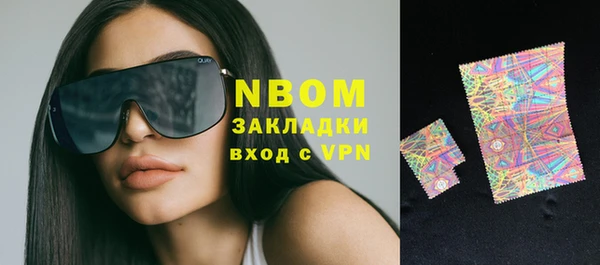 шишки Верея