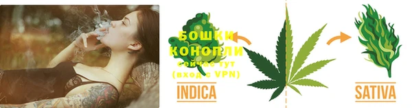 молекула духа Бронницы